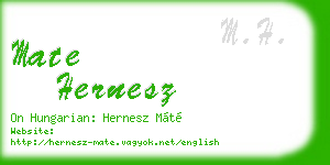 mate hernesz business card