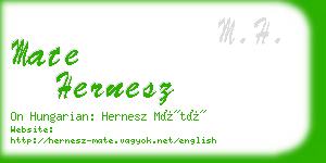 mate hernesz business card